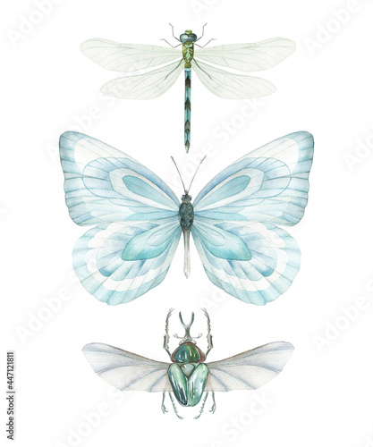 Watercolor set of flying dragonfly, beetle and l blue butterfly. Hand drawn isolated illustration on white background.