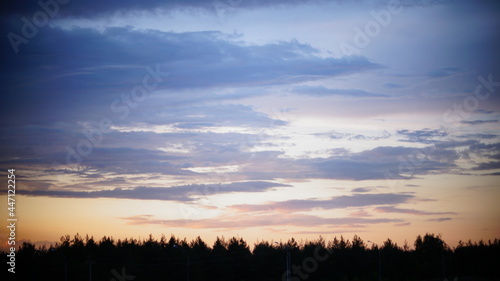 sunset in the field