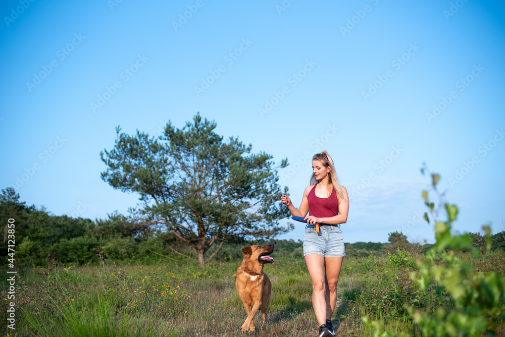 junge blonde Frau mir Schäferhund Mischling in der Natur beim Training und Spielen