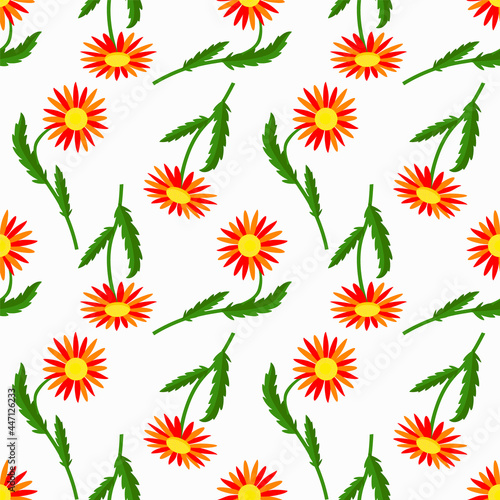 Camomile flowers seamless pattern, vector graphic.