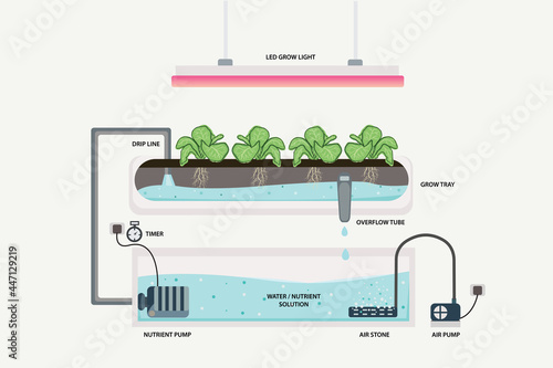 hydroponics system infographic horticulture agriculture photo