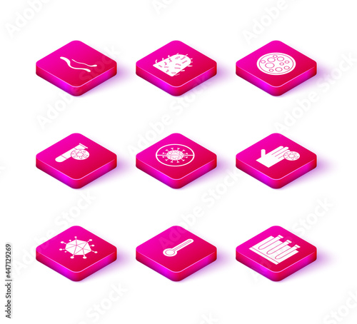 Set Virus, Medical thermometer, Test tube with virus, Stop, Blood test and, Hand, and Rabies icon. Vector