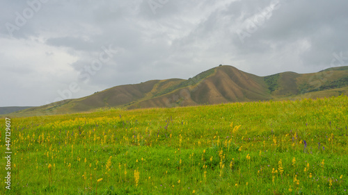 Summer pastures dzhailau in Kegen region. Summer cloudy day in mountains photo