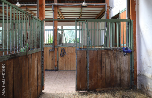 Cleared empty stall in the stable keeping sport horses © acceptfoto