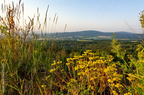 Ausblick vom Waldstein auf den Schneeberg im Fichtelgebirge