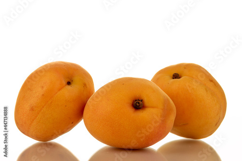 Several ripe organic apricots, close-up, isolated on white.