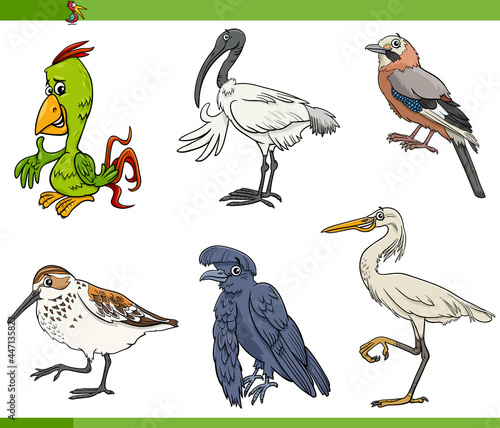 cartoon birds species animal characters set