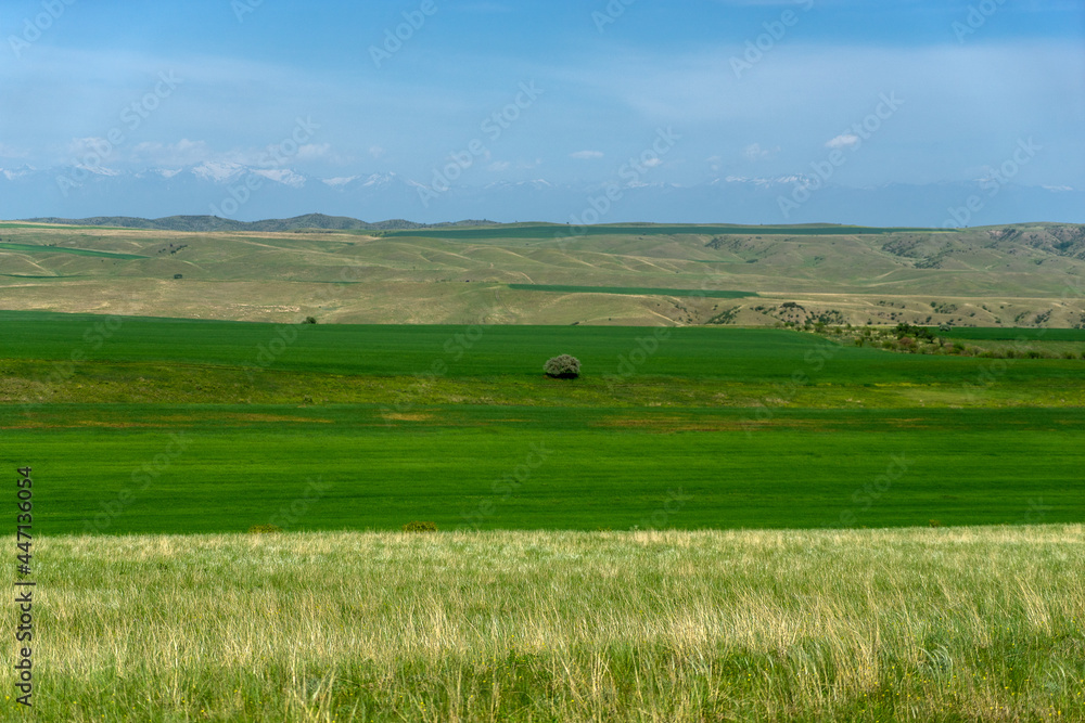 Kahetia, Georgia mountain and fields landscape view