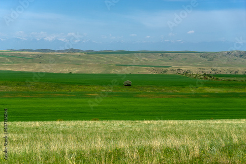 Kahetia, Georgia mountain and fields landscape view © Pavel Bernshtam