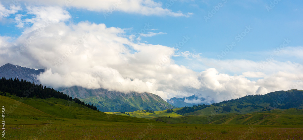 Summer pastures dzhailau in Kegen region. Summer cloudy day in mountains.
