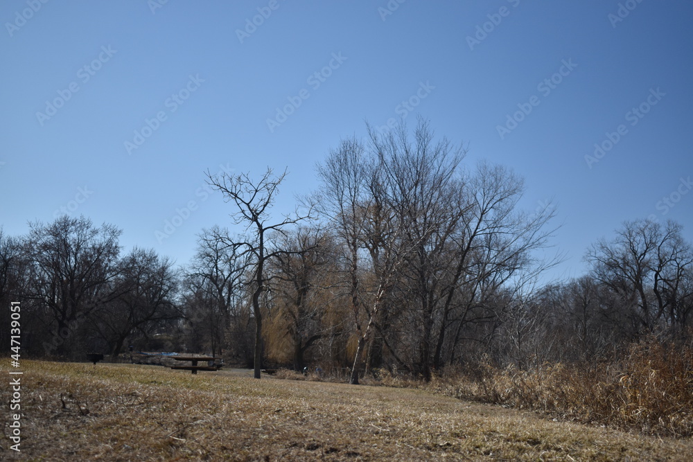 Lake McCarrons in Very Early Spring Lake McCarrons in Very Early Spring