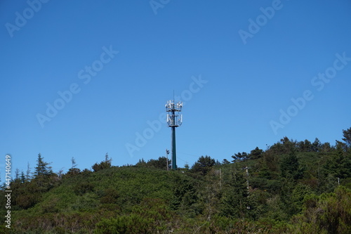 Cellular tower in forest
