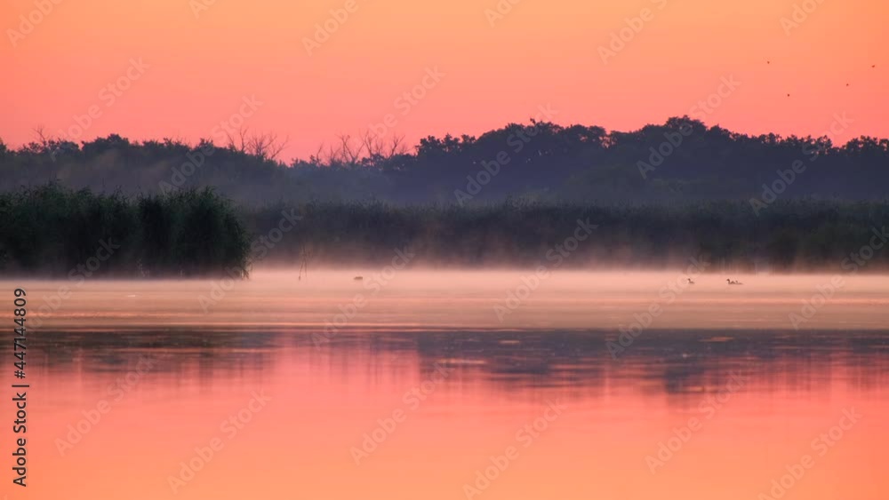 Early morning on calm river with fog. Sunrise over lake and beautiful morning landscape. Morning sun breaks through the thick fog. Fantastic foggy river in the golden sunlight on water surface Early morning on calm river with fog. Sunrise over lake and beautiful morning landscape. Morning sun breaks through the thick fog. Fantastic foggy river in the golden sunlight on water surface
