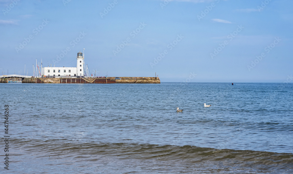 Scarborough lighthouse and seagulls.