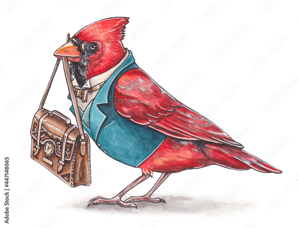 Watercolor illustration of a red cardinal. Bird in clothes. Drawing of  steampunk clothing. Steampunk bird Stock Illustration | Adobe Stock