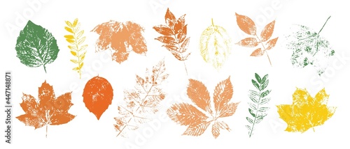 Set of colorful isolated autumn leaves. Grunge foliage stamps.