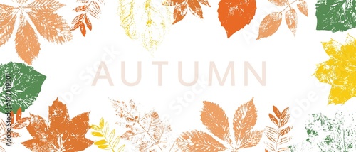 Frame with colorful autumn leaves. Grunge foliage stamps. Place for text, banner design.
