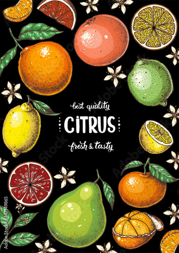 Fresh citrus frame. Hand drawn vector illustration. Organic food, citrus design template. Colored illustration. Citrus collection.