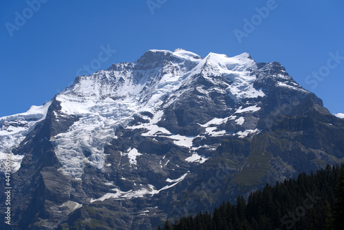 Mount Jungfrau (Virgin) at Bernese highland on a sunny summer day with blue sky background. Photo taken July 20th, 2021, Lauterbrunnen, Switzerland.