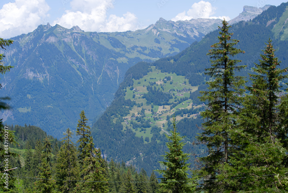 Obraz premium Landscape in the mountains at Bernese highland on a beautiful summe day. Photo taken July 20th, 2021, Lauterbrunnen, Switzerland.