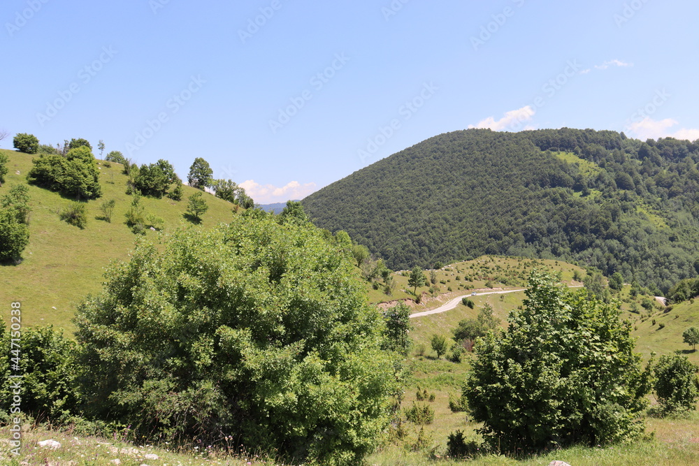 Fototapeta premium landscape in the mountains