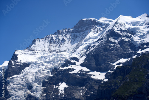 Mount Jungfrau  Virgin  at Bernese highland on a sunny summer day with blue sky background. Photo taken July 20th  2021  Lauterbrunnen  Switzerland.