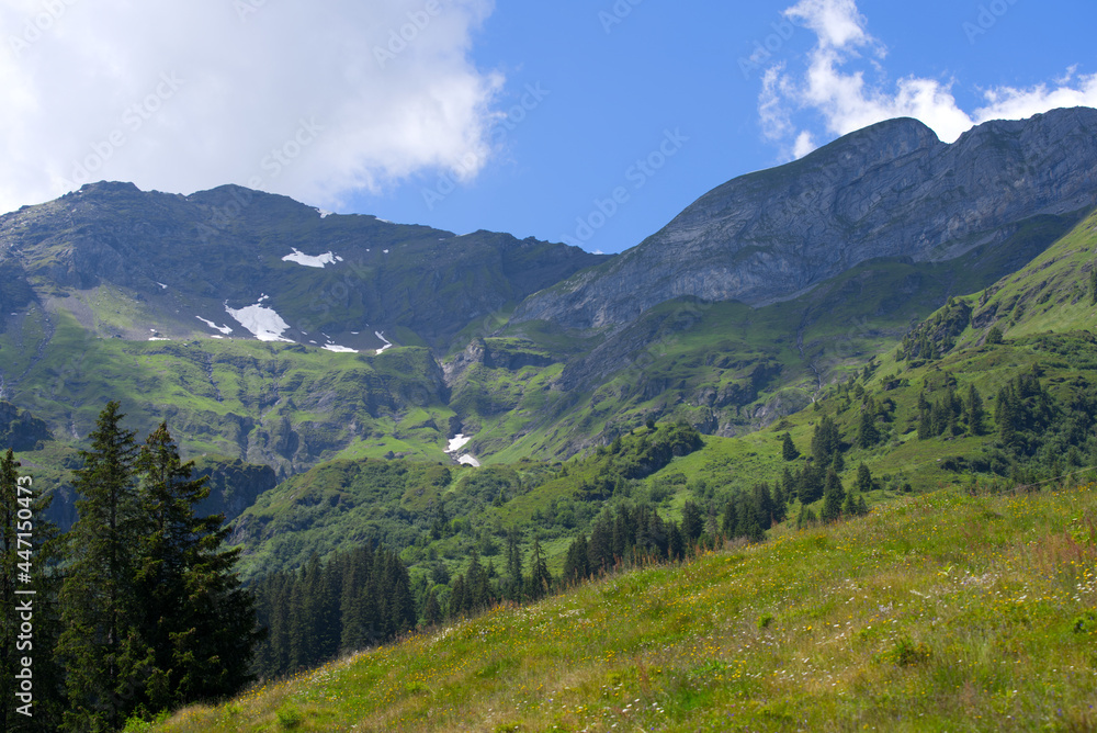 Landscape in the mountains at Bernese highland on a beautiful summe day. Photo taken July 20th, 2021, Lauterbrunnen, Switzerland.
