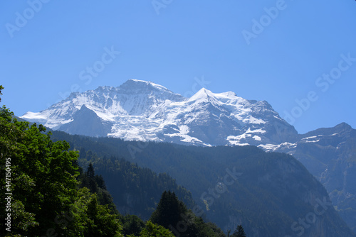 Mount Jungfrau (Virgin) at Bernese highland on a sunny summer day with blue sky background. Photo taken July 20th, 2021, Lauterbrunnen, Switzerland.