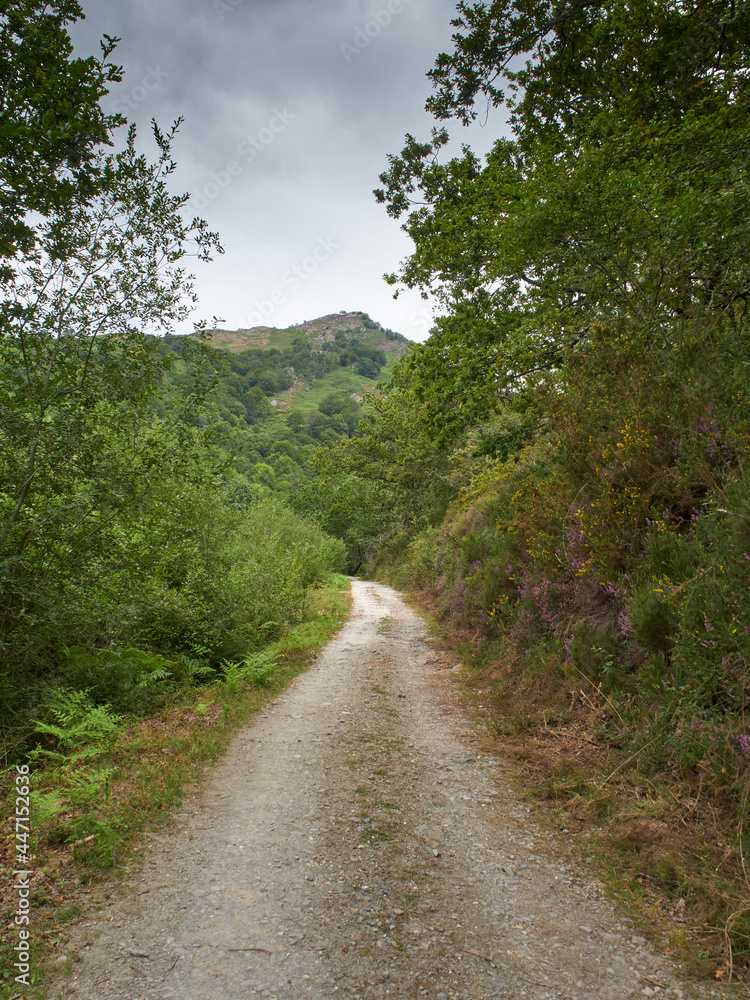 Paisajes durante la subida al monte Mendaur