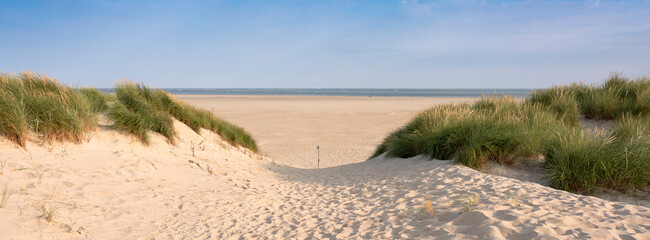 Foto auf Acrylglas Nordsee Dünen und Strand auf der niederländischen Insel Texel an einem sonnigen Tag mit blauem Himmel  © ahavelaar