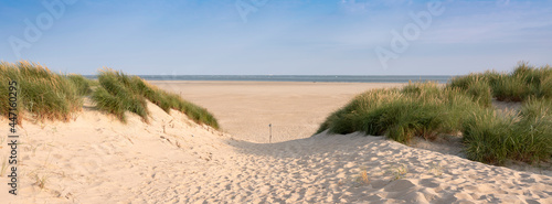 dunes and beach on dutch island of texel on sunny day with blue sky