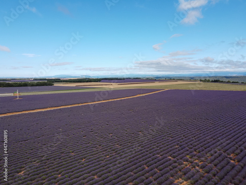 Touristic destination in South of France, aerial view on colorful lavender and lavandin fields in blossom in July on plateau Valensole, Provence.