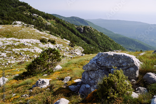 View of the mountainous area with stones, herbs and shrubs © Nadtochiy