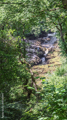 Leafy Gorge