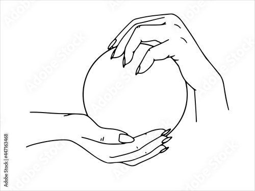 Female hands with in different poses. Line drawing. Vector illustration isolated on white background.