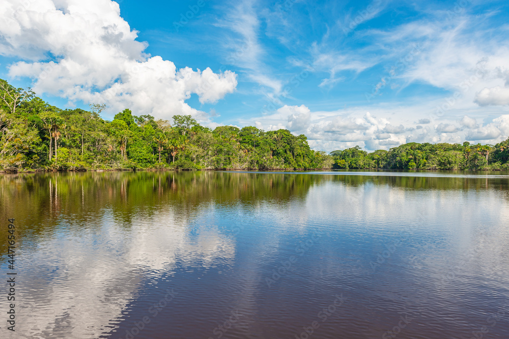 Amazon river rainforest cloud reflection, Yasuni national park, Ecuador.
