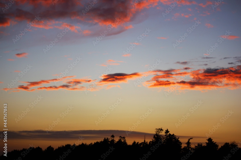 Fototapeta premium red sunset sky over the forest