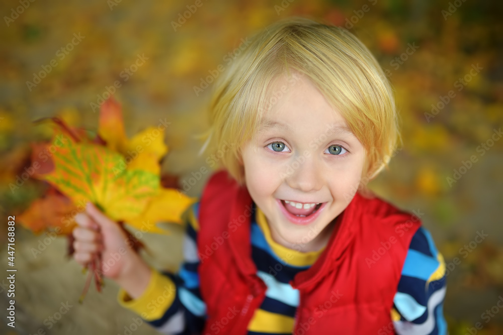 Little boy having fun during stroll in forest at sunny autumn day. Child playing with maple leaves. Top view. Hiking with little kids. Little boy having fun during stroll in forest at sunny autumn day. Child playing with maple leaves. Top view. Hiking with little kids.