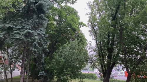 trees are swaying from the hurricane wind in the city. natural disasters, windy weather, squally wind in summer and spring, dangerous natural phenomena photo