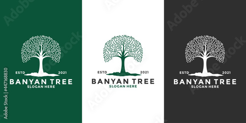 bundle banyan tree logo design template vintage style photo