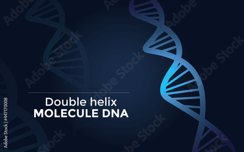 template vector molecule double helix DNA editable