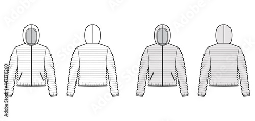 Hooded jacket Down puffer coat technical fashion illustration with long sleeves, zip-up closure, pockets, narrow quilting. Flat template front, back, white, grey color. Women, men, unisex CAD mockup