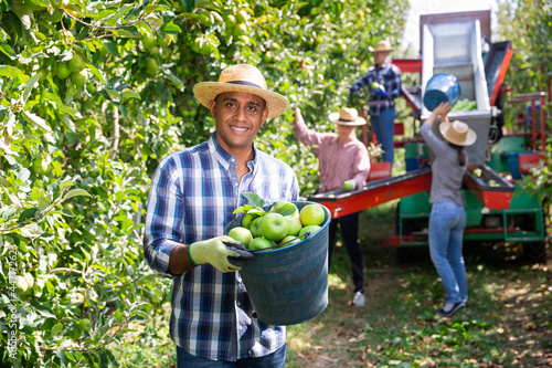 Portrait of latino farmer showing bucket of ripe green apples in the garden