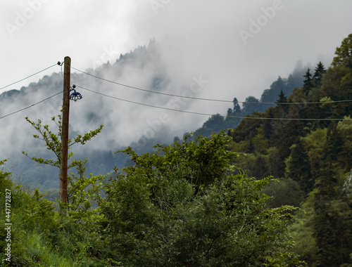 A lamppost and street lamp running through the foggy forest in the mountains