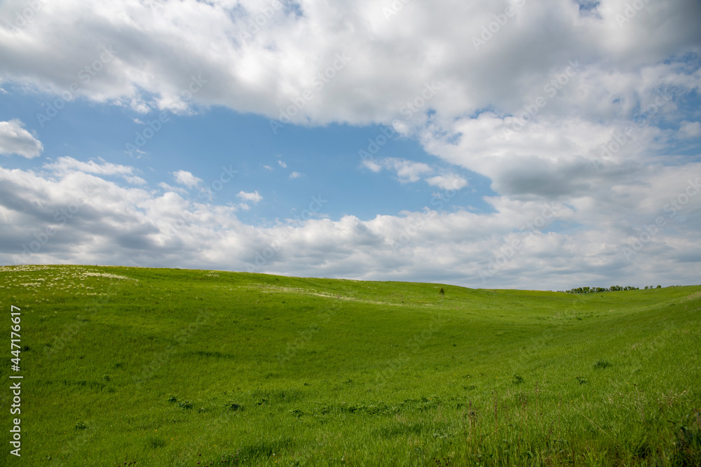 green field and blue sky green field and blue sky