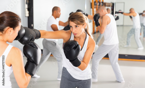 Two diligent efficient serious women in boxing gloves have boxing fight in the gym