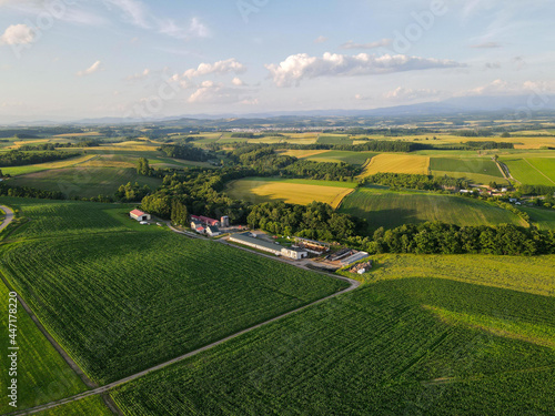 北海道の自然のある風景 Landscape with nature in Hokkaido 