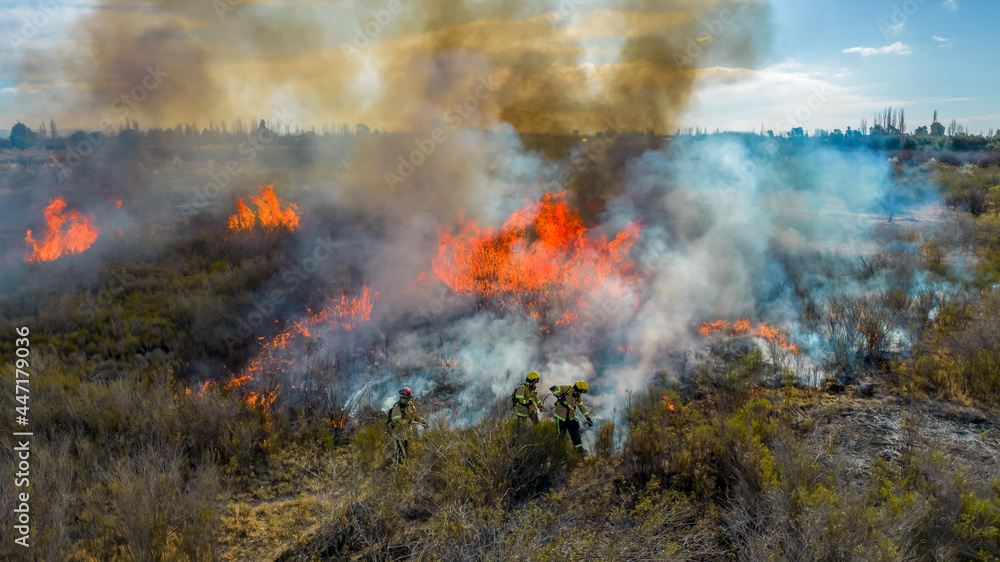 Fototapeta premium Firefighters put out a fire in the forest. Aerial view.