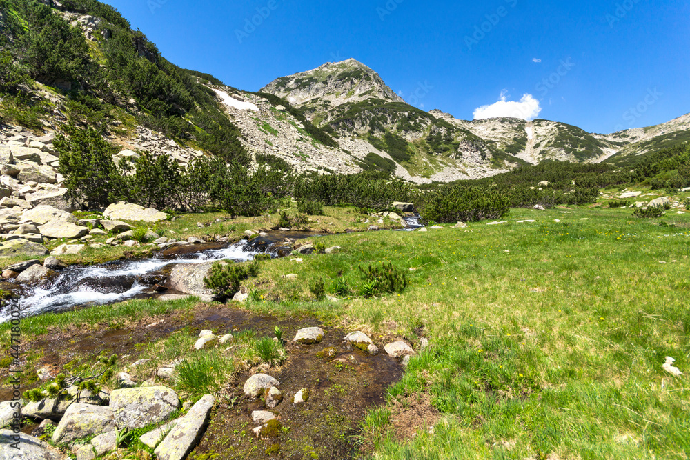 Mountain river and Muratov Peak, Pirin Mountain, Bulgaria