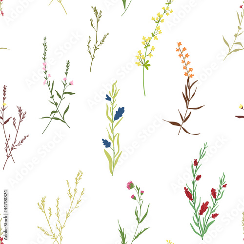 Blossom floral seamless pattern. Blooming botanical motifs scattered random. Trendy colorful vector texture. Fashion  ditsy print  fabric. Hand drawn different wild meadow flowers on white background